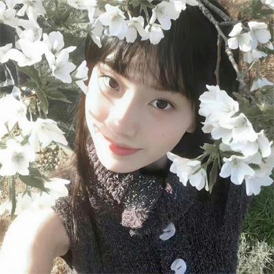 公子不可求